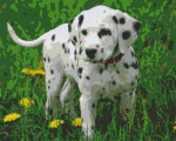 Kit 9 Plaques Chien
