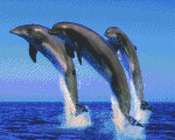 Kit 9 Plaques Dauphins