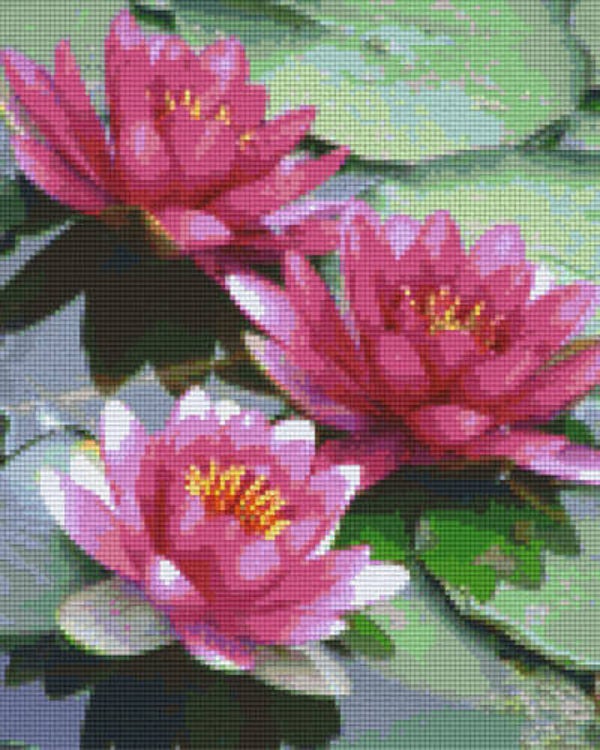 Kit 9 Plaques Fleurs