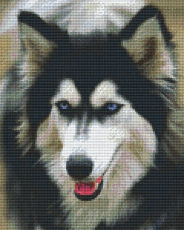 Kit 9 Plaques Husky