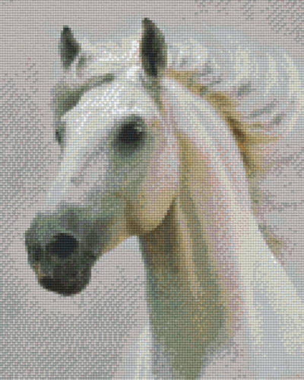 Kit 9 Plaques Cheval