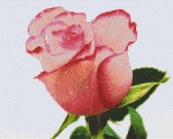Kit 9 Plaques Fleur