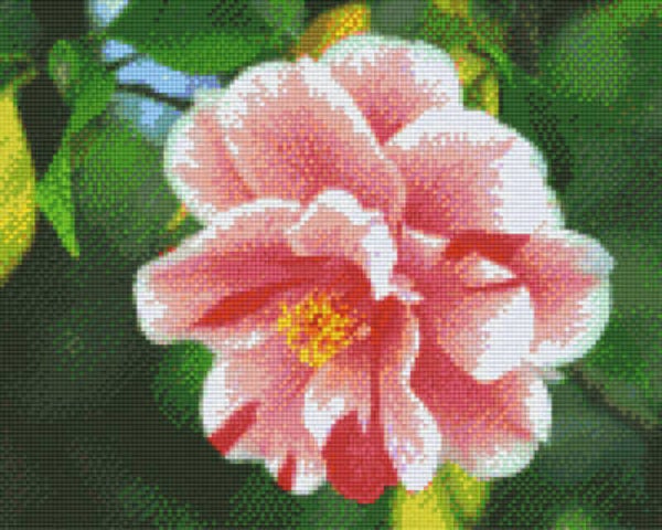 Kit 9 Plaques Fleur
