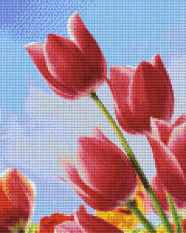 Kit 9 Plaques Fleurs