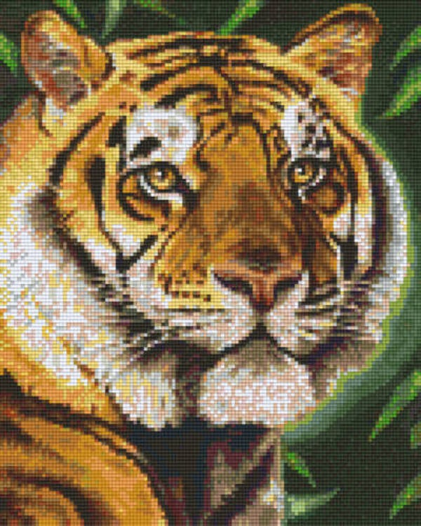 Kit 9 Plaques Tigre