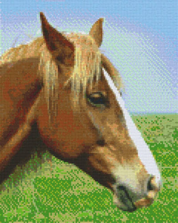 Kit 9 Plaques Cheval
