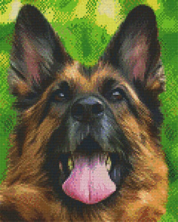 Kit 9 Plaques Chien