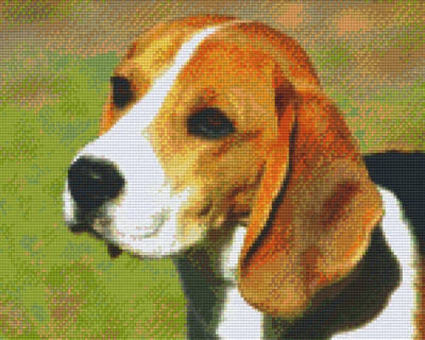 Kit 9 Plaques Chien
