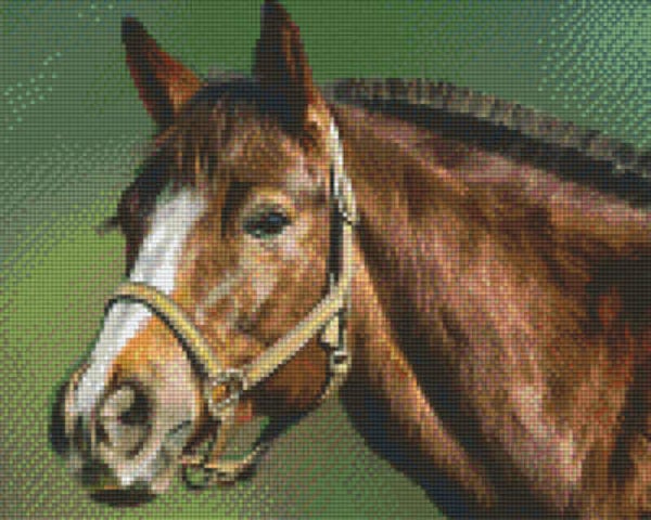 Kit 9 Plaques Cheval