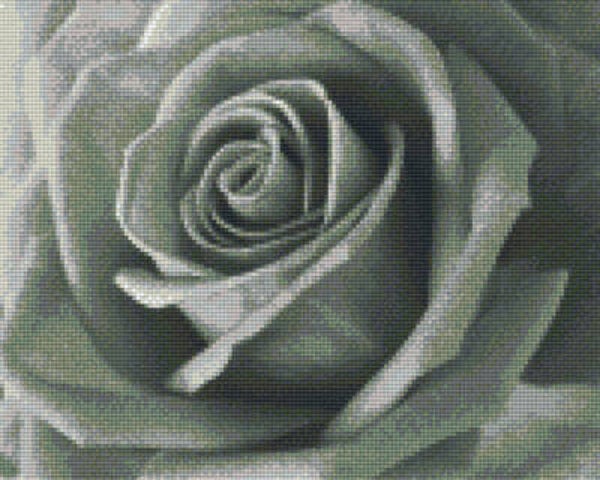 Kit 9 Plaques Fleurs