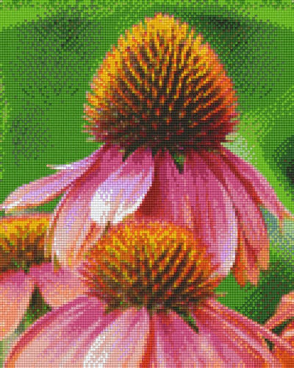 Kit 9 Plaques Fleurs