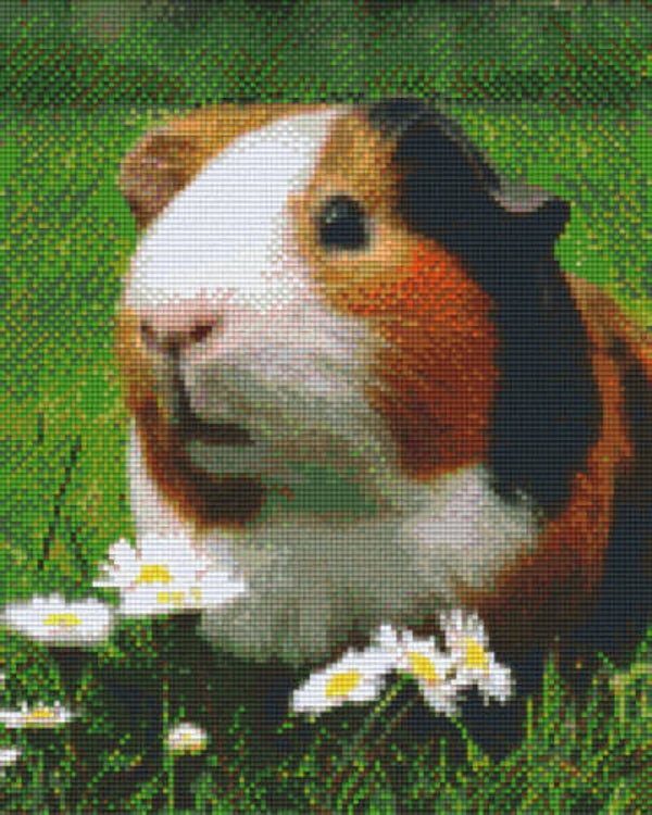 Kit 9 Plaques Hamster
