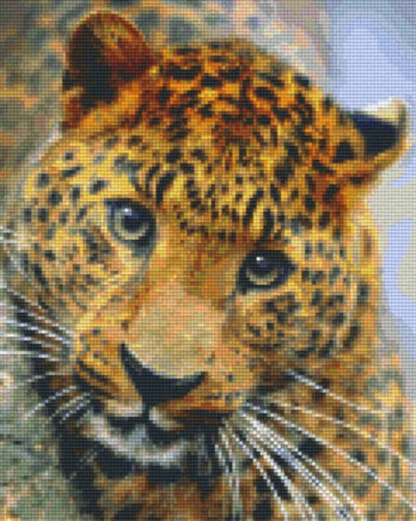 Kit 9 Plaques Leopard