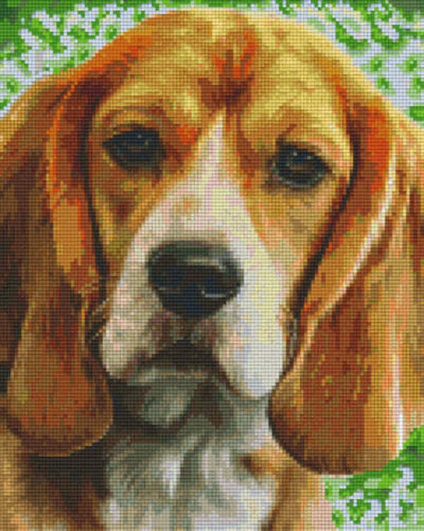 Kit 9 Plaques Chien