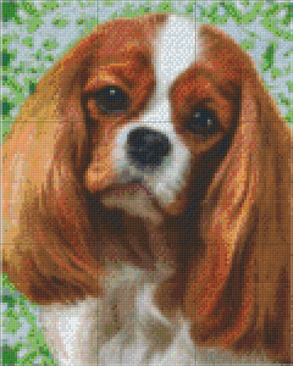 Kit 9 Plaques Chien
