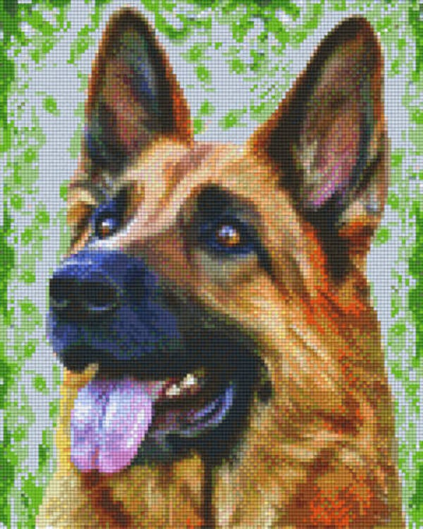 Kit 9 Plaques Chien