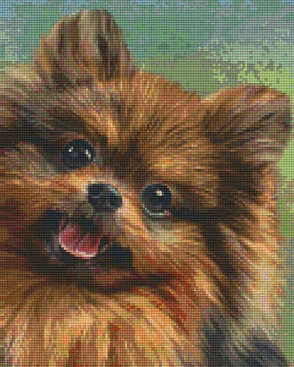 Kit 9 Plaques Chien
