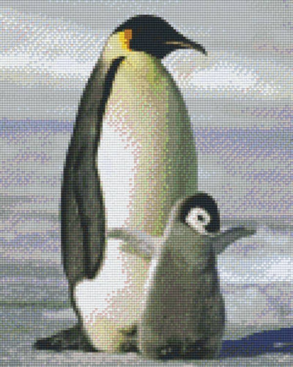 Kit 9 Plaques Pingouins
