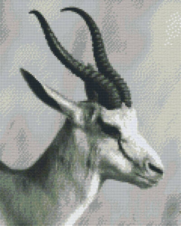 Kit 9 Plaques Antilope