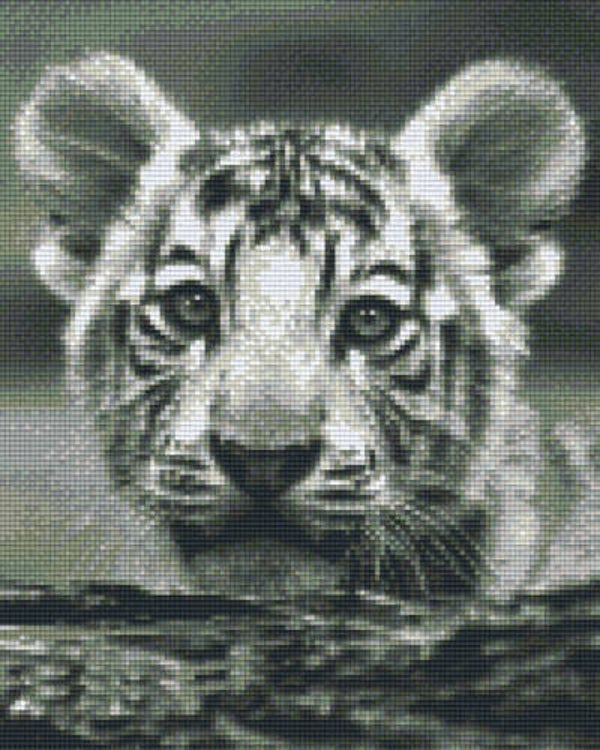 Kit 9 Plaques Tigre