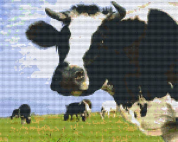 Kit 9 Plaques Vaches