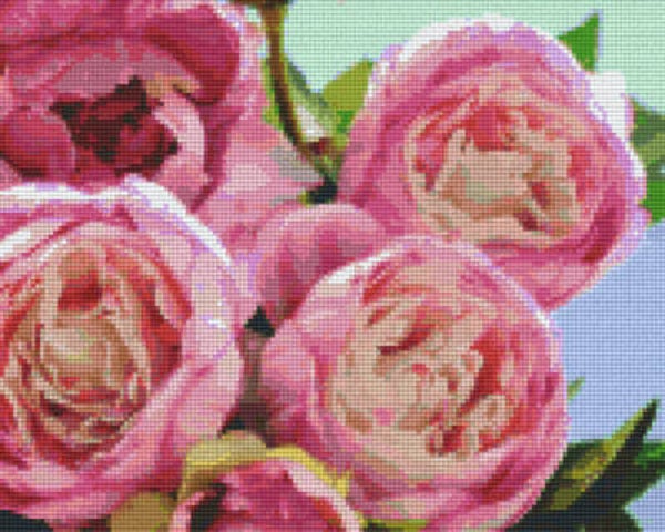 Kit 9 Plaques Fleurs