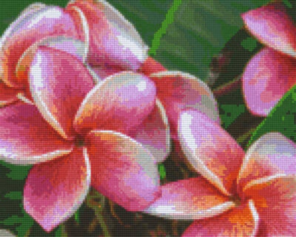 Kit 9 Plaques Fleurs