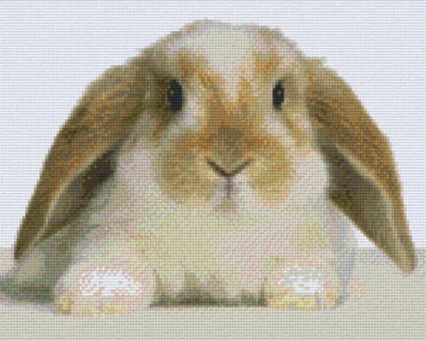 Kit 9 Plaques Lapin