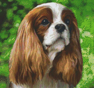 Kit 12 Plaques Chien