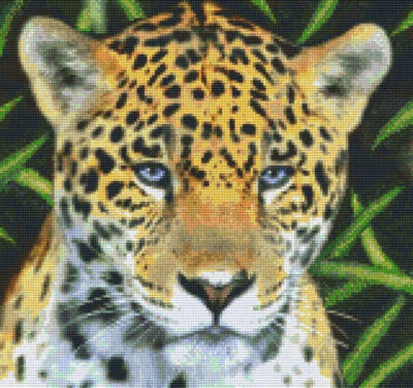 Kit 12 Plaques Leopard