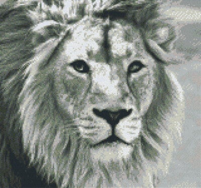 Kit 12 Plaques Lion