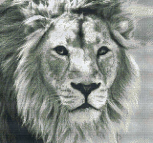 Kit 12 Plaques Lion