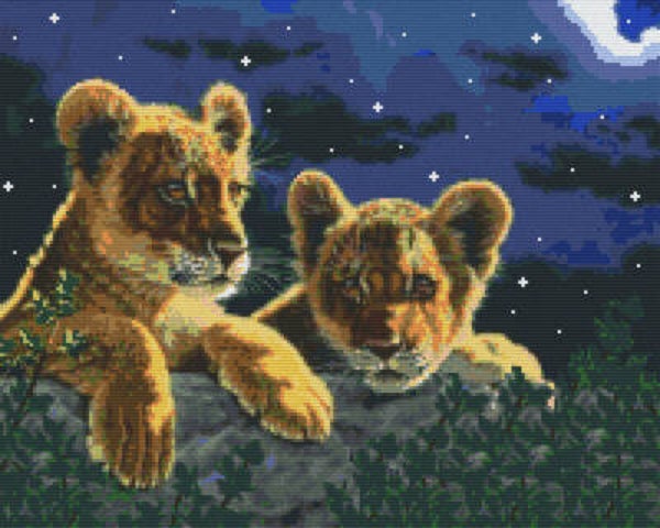 Kit 16 Plaques Lionceaux