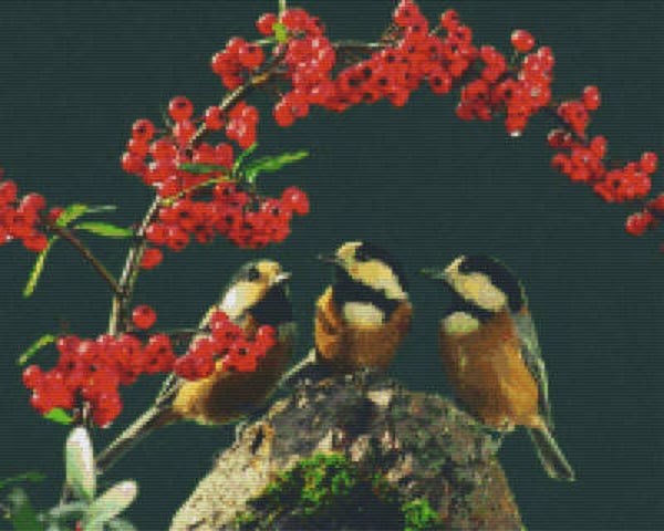 Kit 16 Plaques Oiseaux