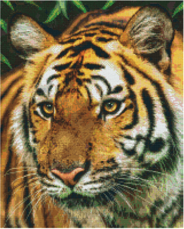 Kit 16 Plaques Tigre