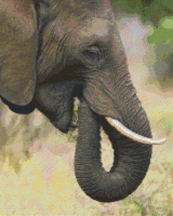 Kit 16 Plaques Eléphant