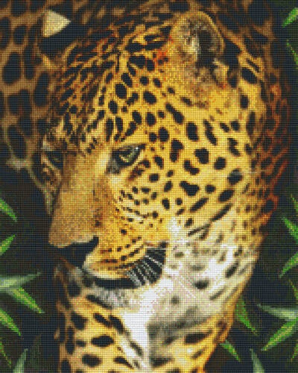 Kit 16 Plaques Leopard