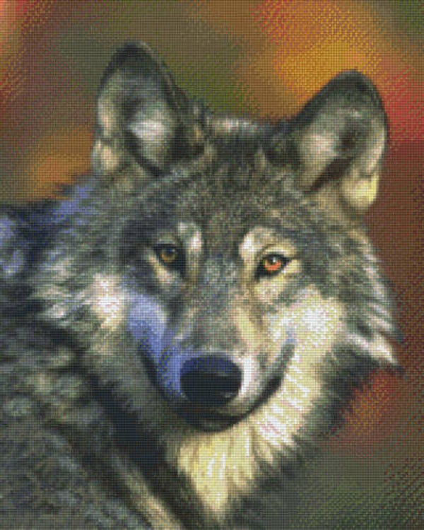 Kit 16 Plaques Loup