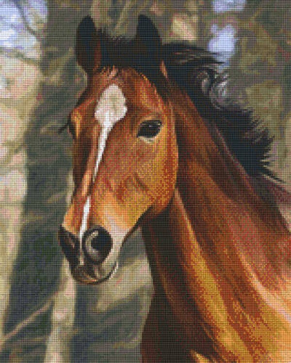 Kit 16 Plaques Cheval