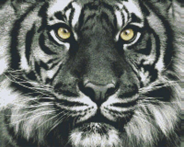 Kit 16 Plaques Tigre
