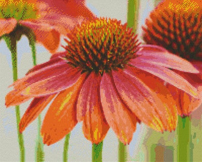 Kit 16 Plaques Fleurs