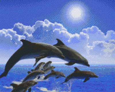 Kit 16 Plaques Dauphins
