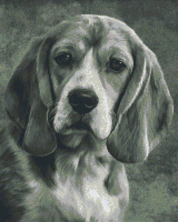 Kit 16 Plaques Chien