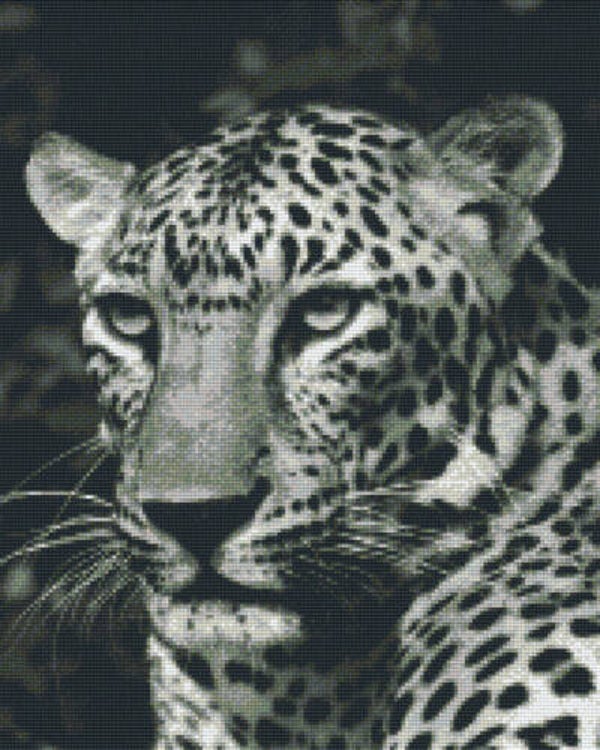 Kit 16 Plaques Leopard