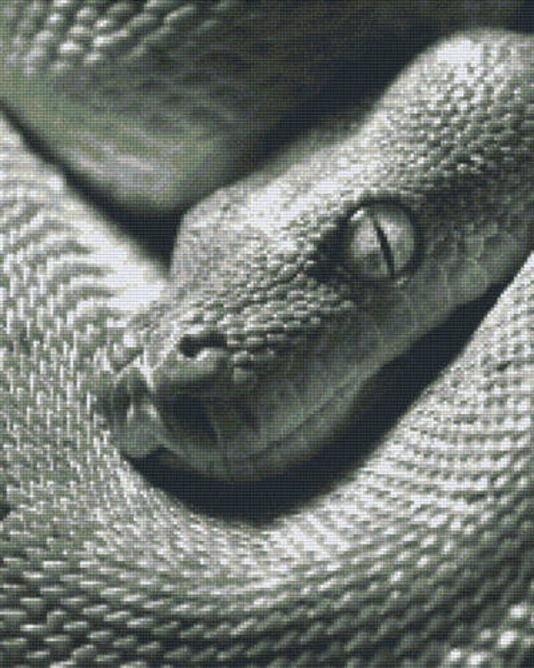 Kit 16 Plaques Serpent