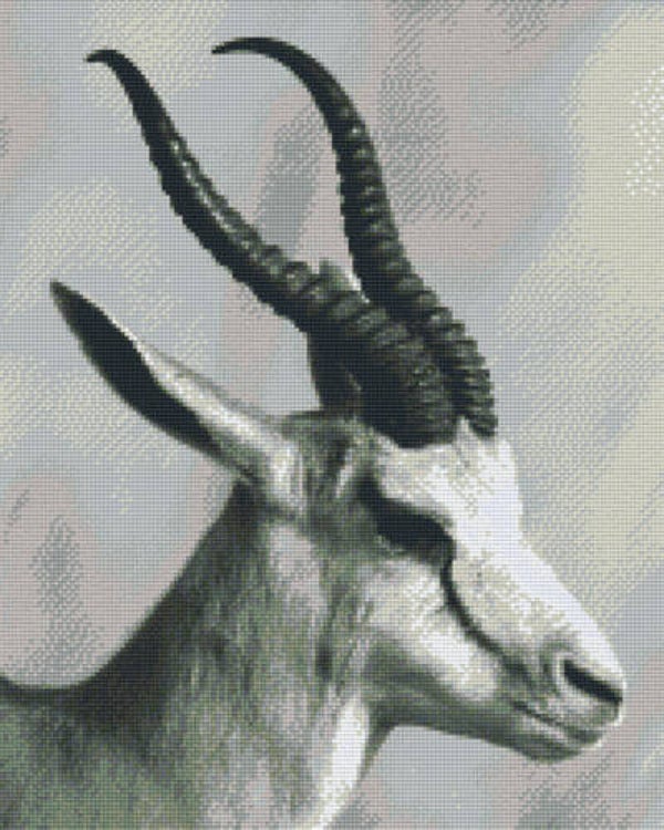 Kit 16 Plaques Antilope