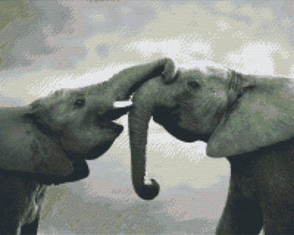 Kit 16 Plaques Eléphants
