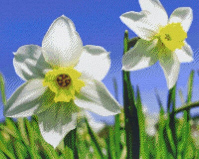 Kit 16 Plaques Fleurs