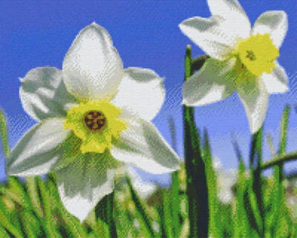Kit 16 Plaques Fleurs