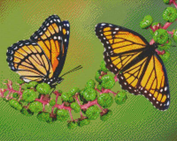 Kit 16 Plaques Papillons